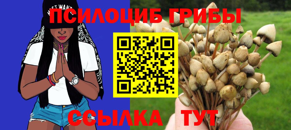 Галлюциногенные грибы Cubensis  Вход с VPN  Галлюциногенные грибы ЛСД  Клин 